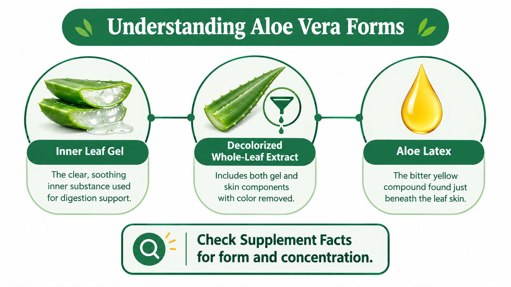 An infographic showing the three different forms of aloe vera: Inner Leaf Gel, Decolorized Whole-Leaf Extract, and Aloe Latex.