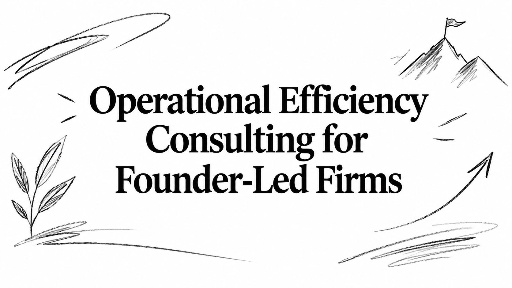 Operational Efficiency Consulting for Founder-Led Firms