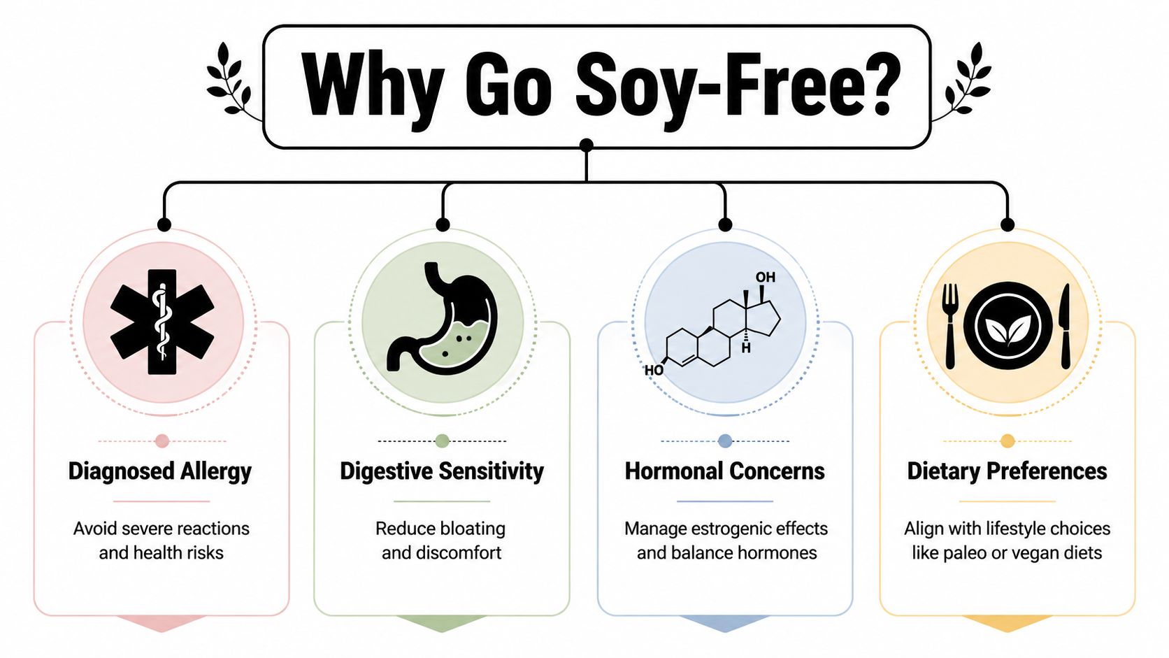 An infographic titled Why Go Soy-Free outlining four reasons including allergies, digestive sensitivity, hormones, and diet.