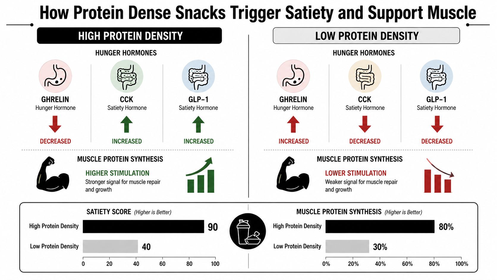 A comparison chart showing how protein dense snacks influence hunger hormones, satiety levels, and muscle protein synthesis.