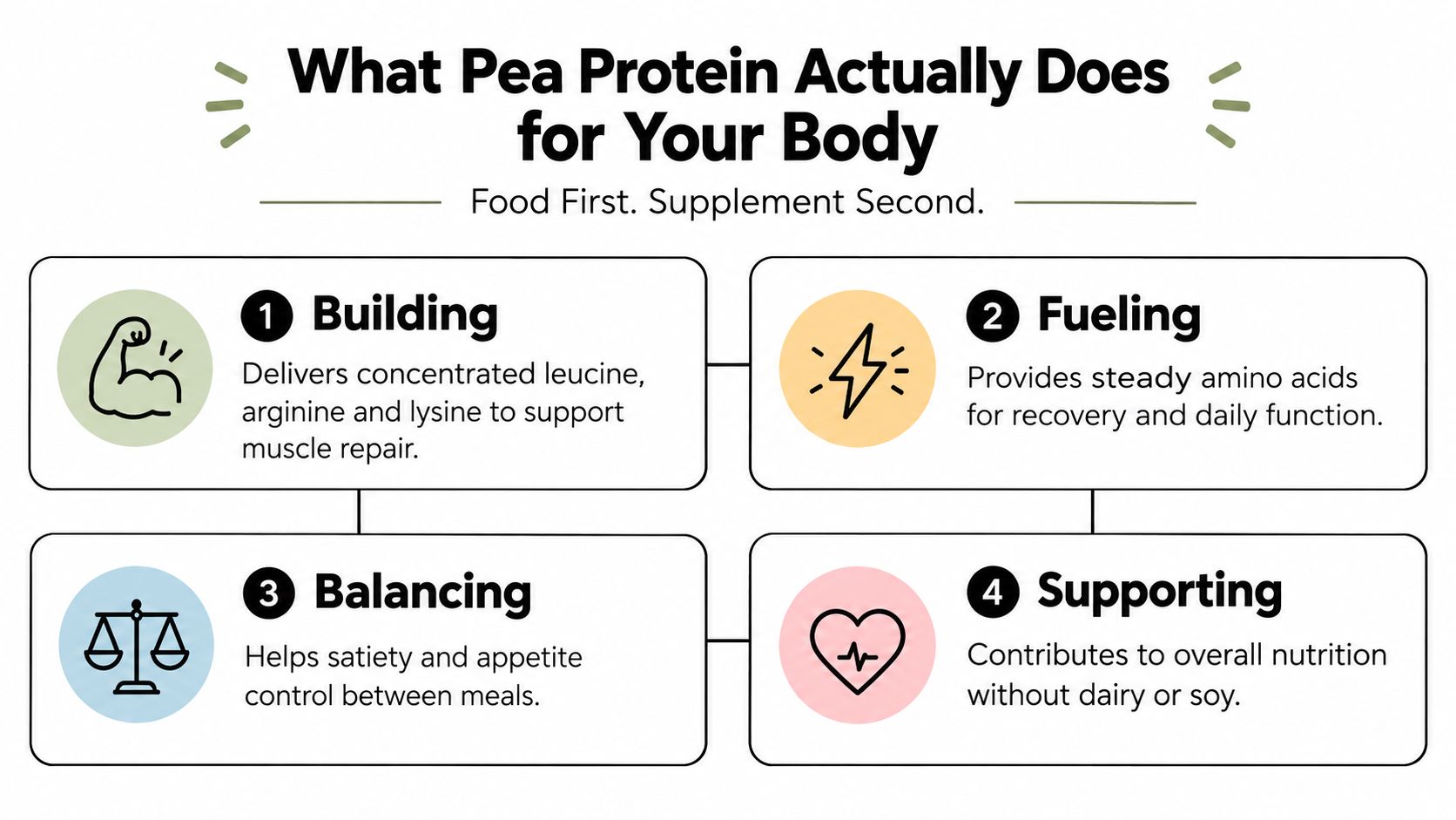 An infographic titled What Pea Protein Actually Does for Your Body detailing its four main benefits.