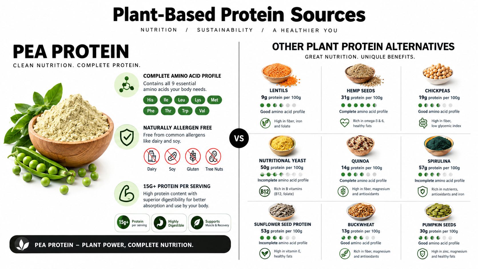 An infographic comparing pea protein with various other plant-based protein sources like lentils, seeds, and grains.