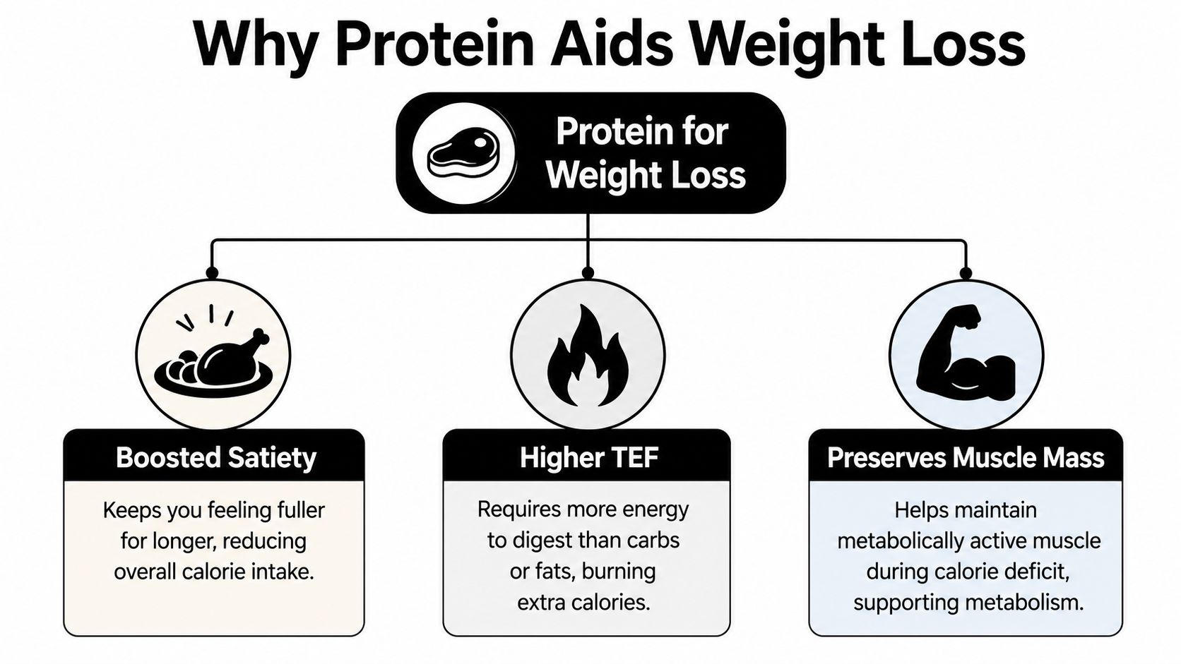 A diagram explaining three primary reasons why consuming protein supports effective and sustainable weight loss goals.