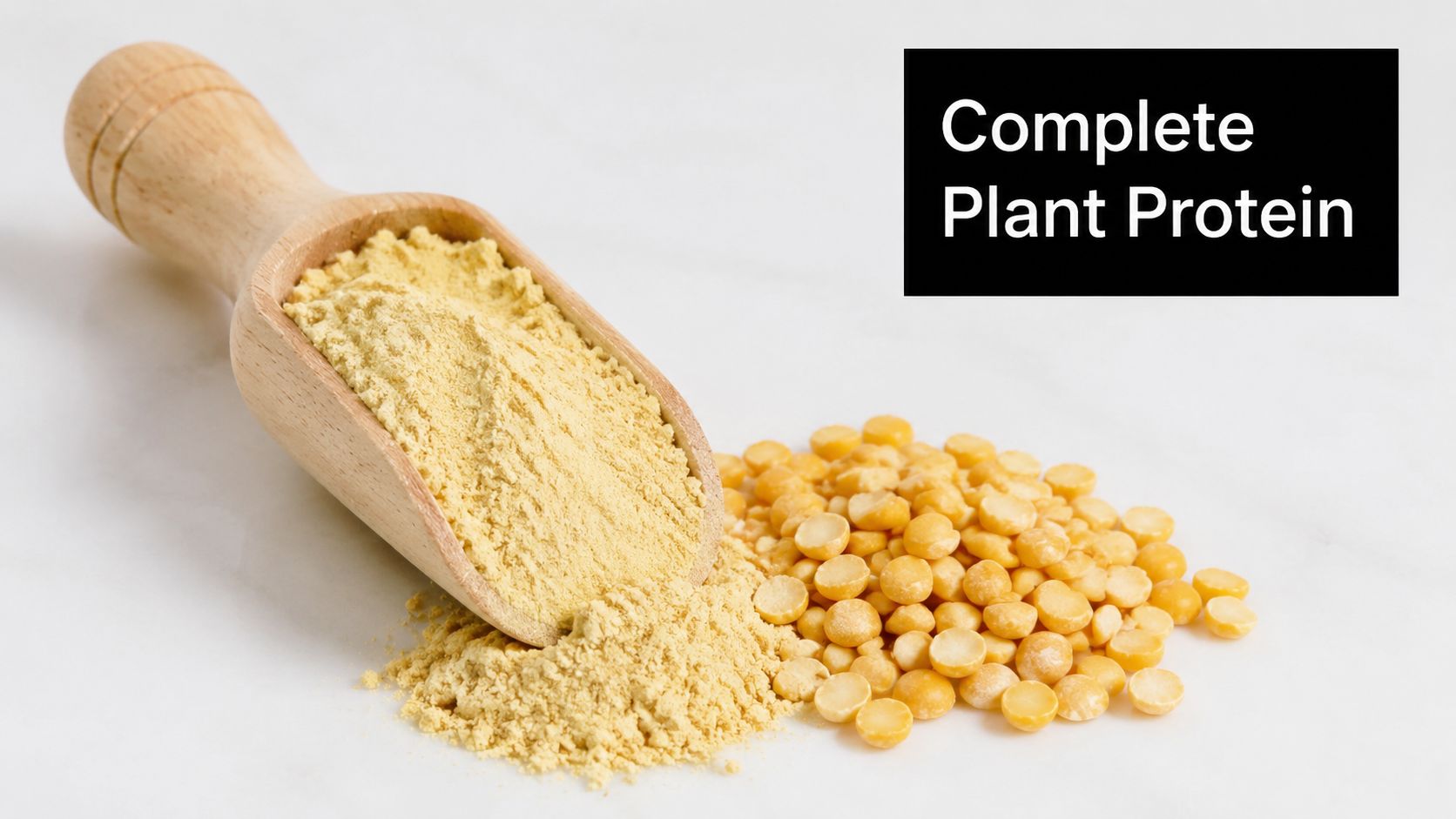 A wooden scoop filled with yellow pea protein powder next to a pile of raw yellow split peas.