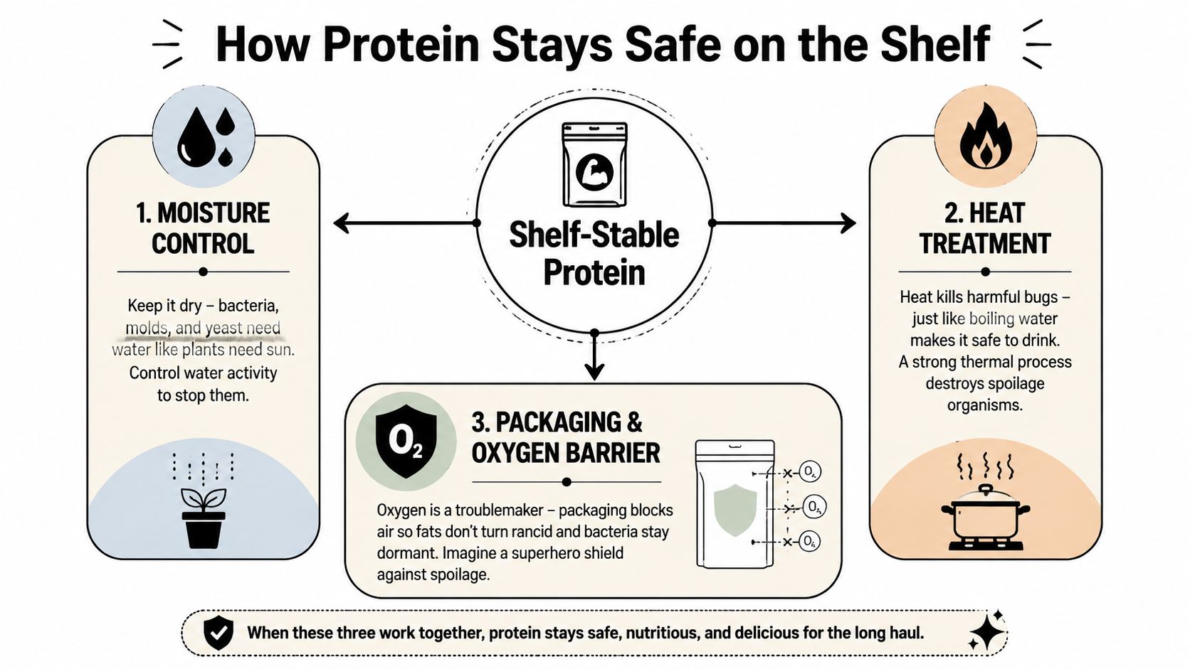 An infographic titled How Protein Stays Safe on the Shelf explaining moisture control, heat treatment, and packaging.