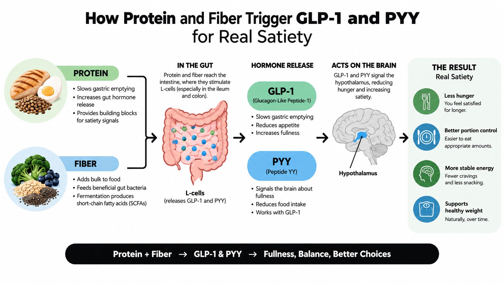 A diagram illustrating how consuming protein and fiber stimulates gut hormones GLP-1 and PYY to promote satiety.