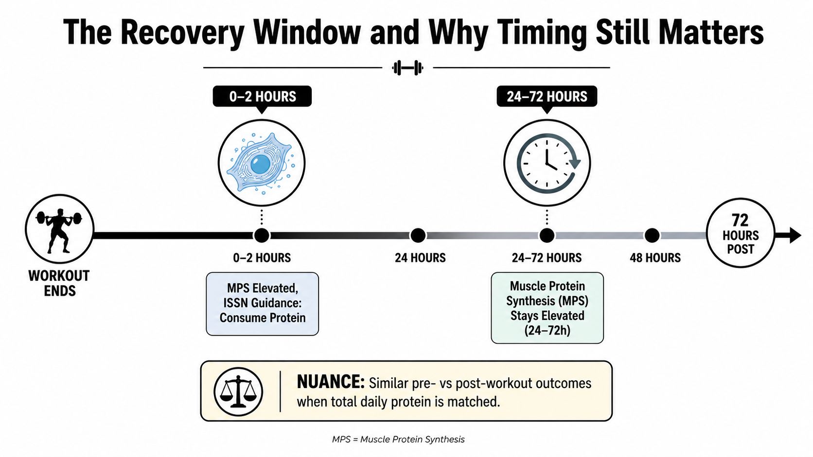 A timeline graphic illustrating the importance of protein intake and muscle protein synthesis following a workout.
