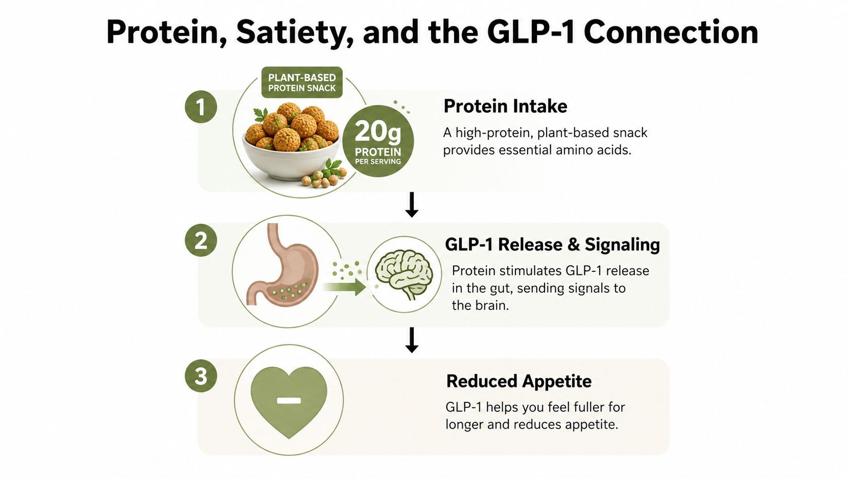 A diagram illustrating how consuming a plant-based protein snack triggers GLP-1 hormone release to reduce appetite.
