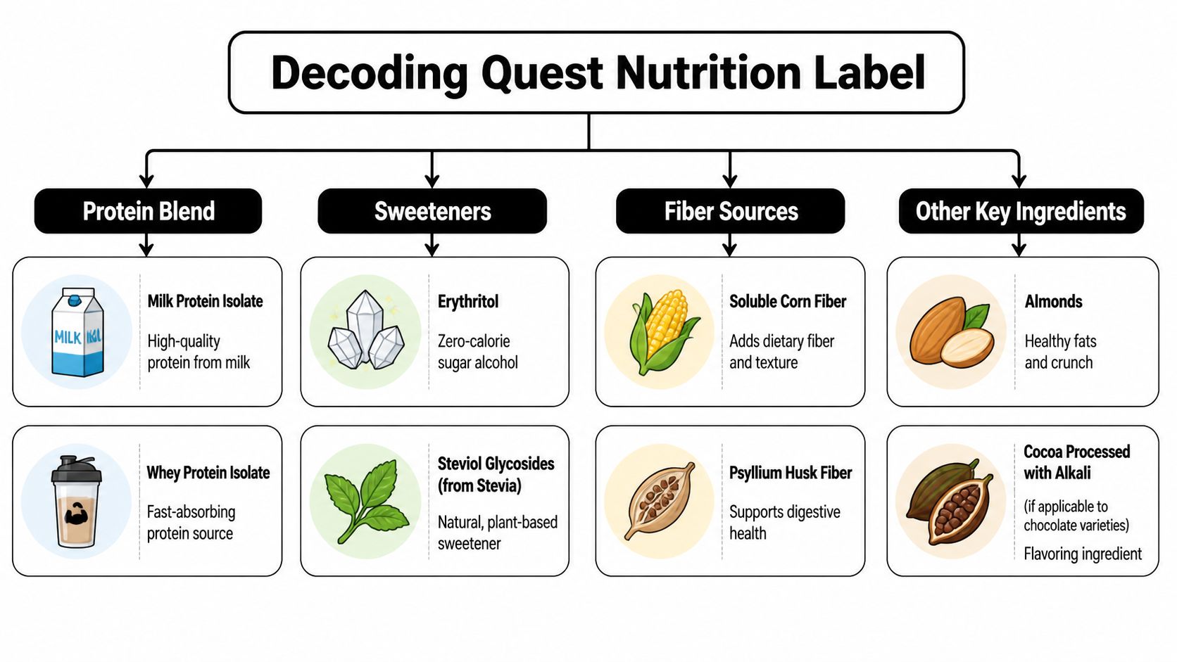 An infographic titled Decoding Quest Nutrition Label explaining key ingredients like proteins, sweeteners, and fiber sources.