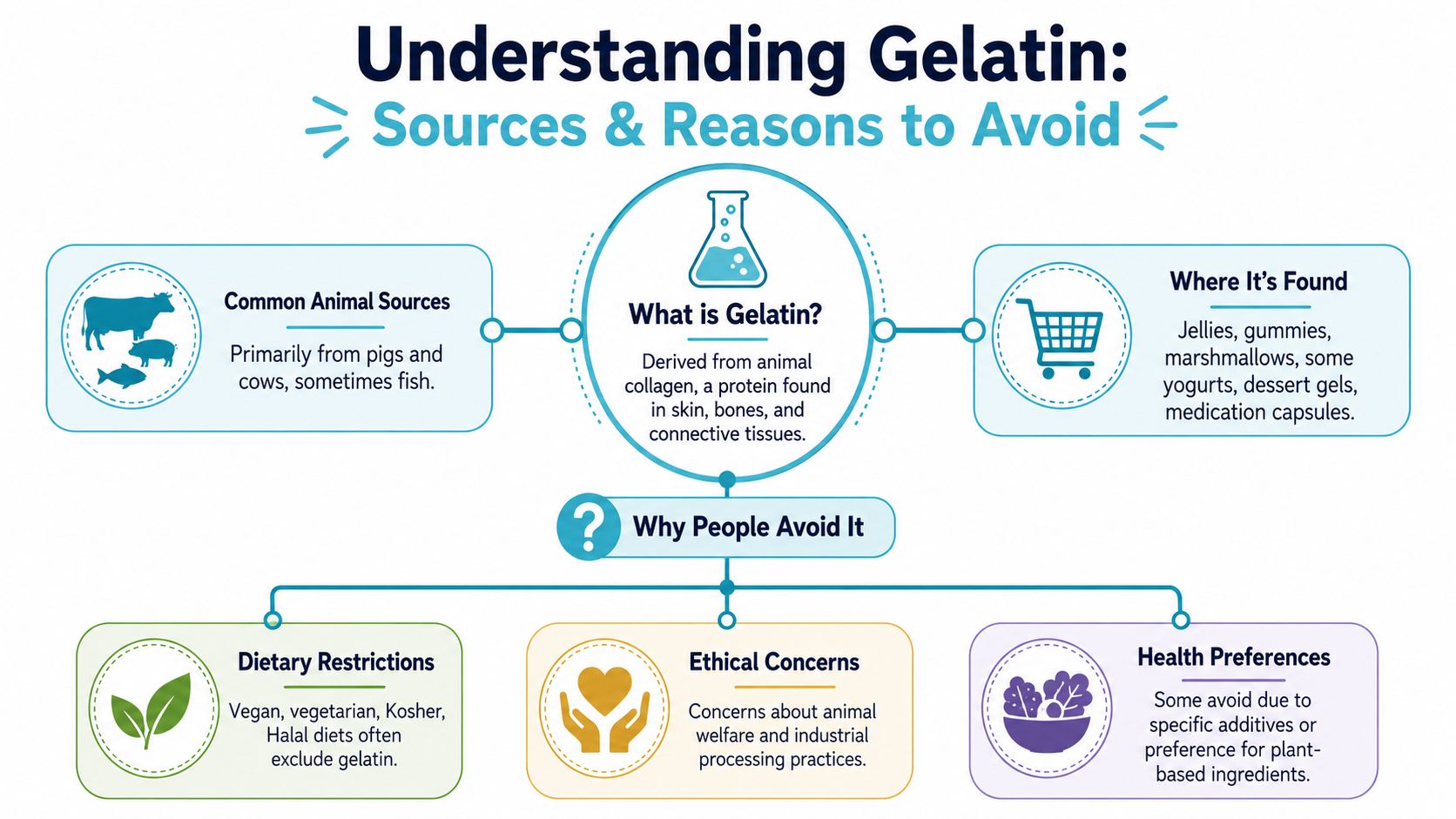 An infographic titled Understanding Gelatin explaining its animal-derived origins, common food sources, and reasons for avoidance.