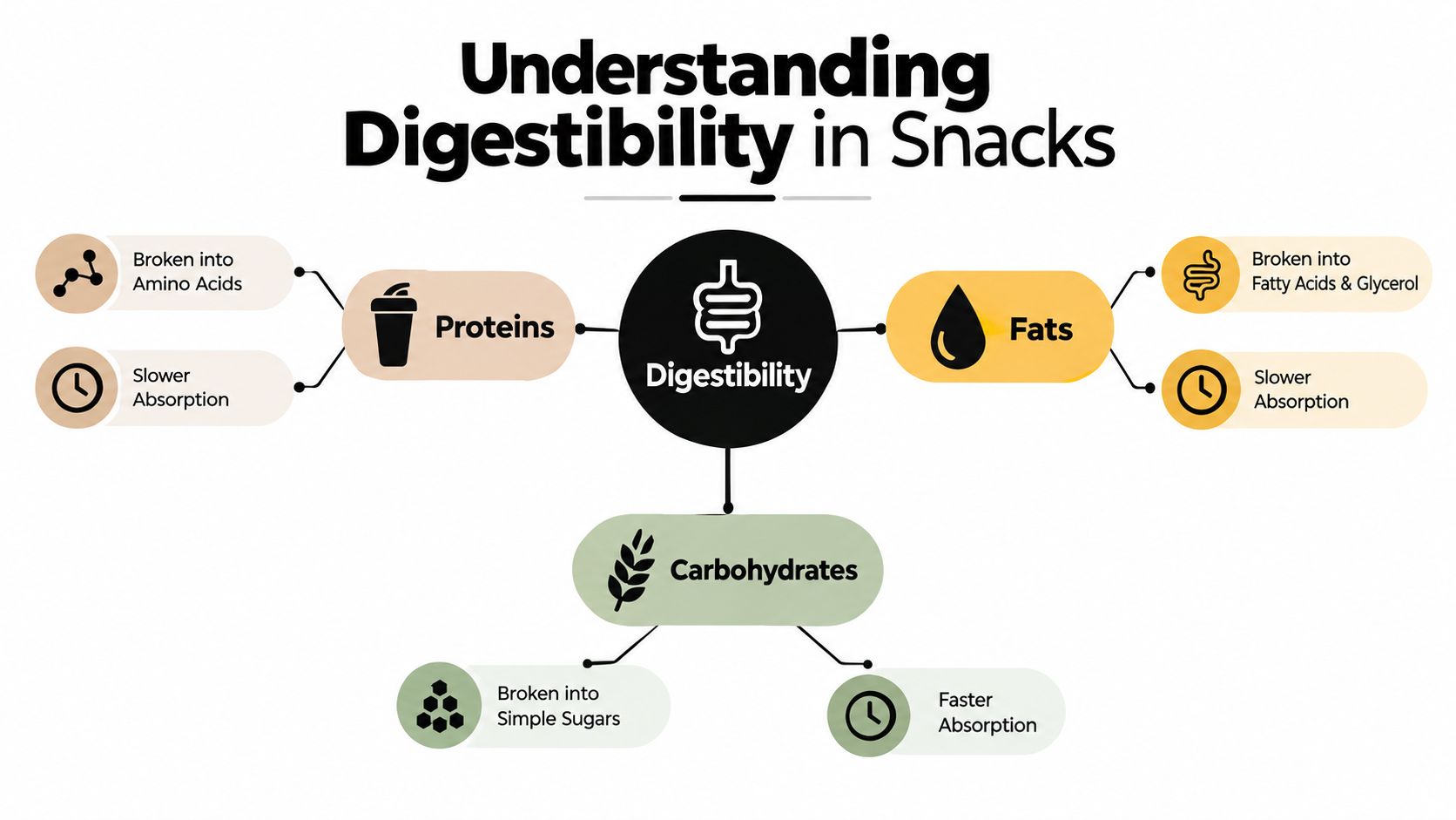 A diagram explaining the digestibility of proteins, fats, and carbohydrates in snack foods.