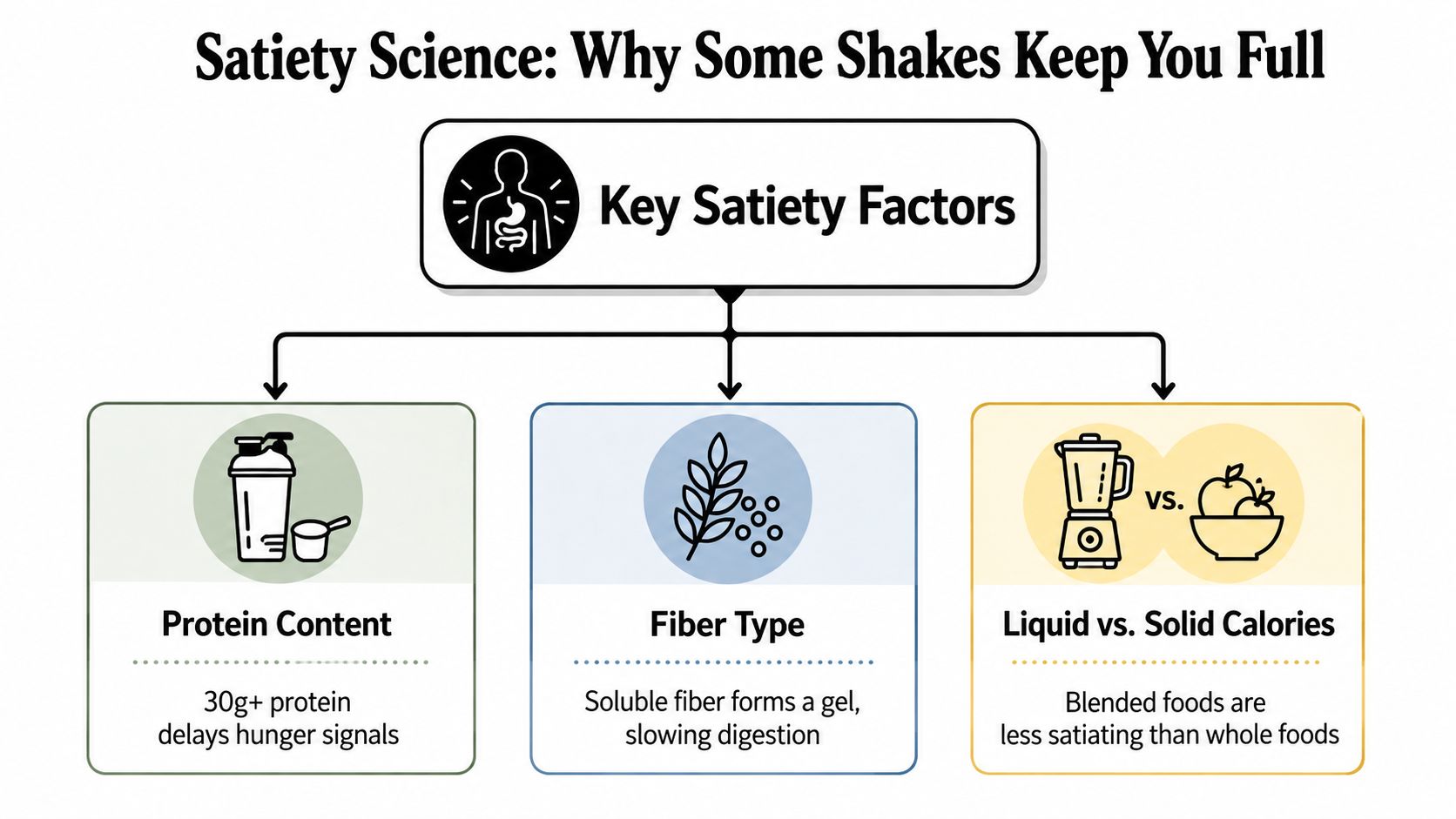 A diagram explaining the scientific factors behind satiety in shakes, including protein content, fiber type, and solid versus liquid calories.