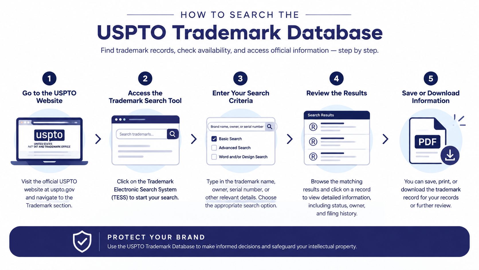A five-step infographic showing how to use the USPTO trademark search database for brand protection.