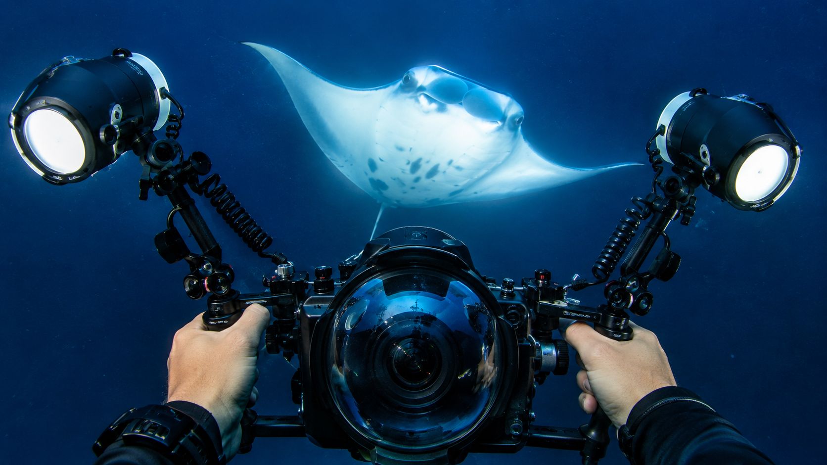 A scuba diver takes a photograph of a large manta ray underwater with professional camera equipment.