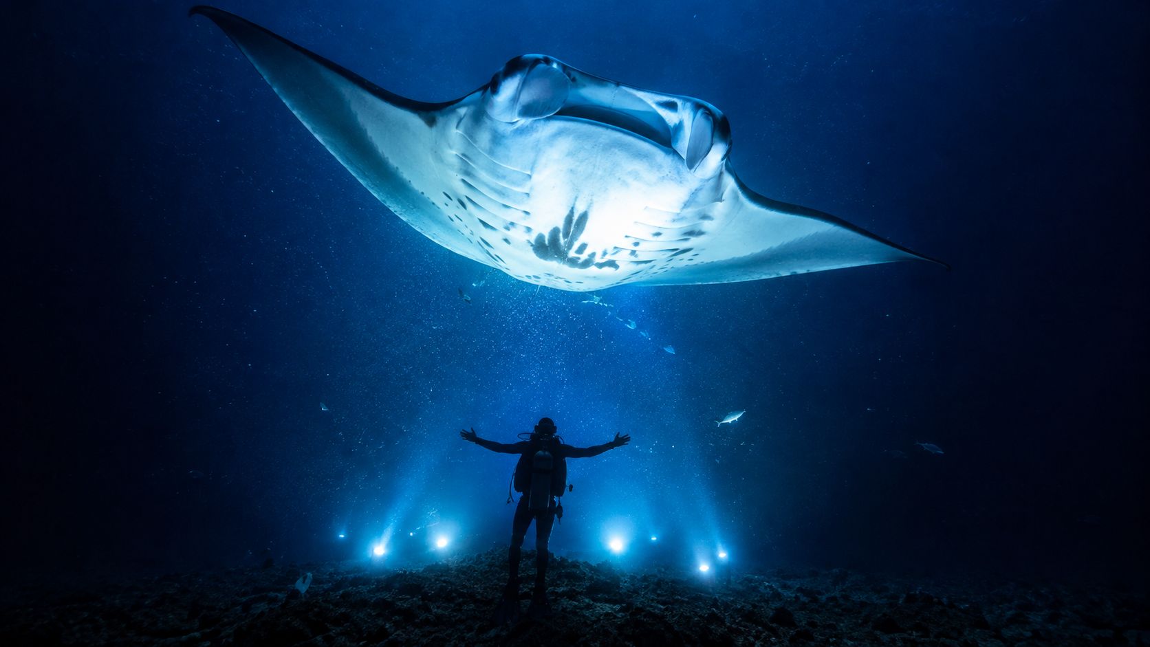 A scuba diver stands on the ocean floor with arms open beneath a massive, glowing manta ray.