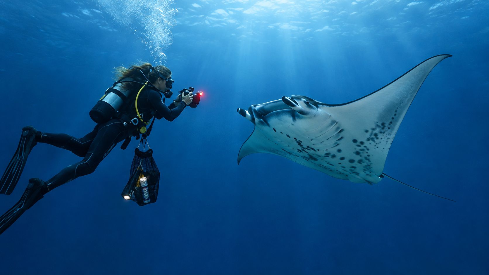 A scuba diver photographing a majestic manta ray swimming in deep blue ocean waters during night.