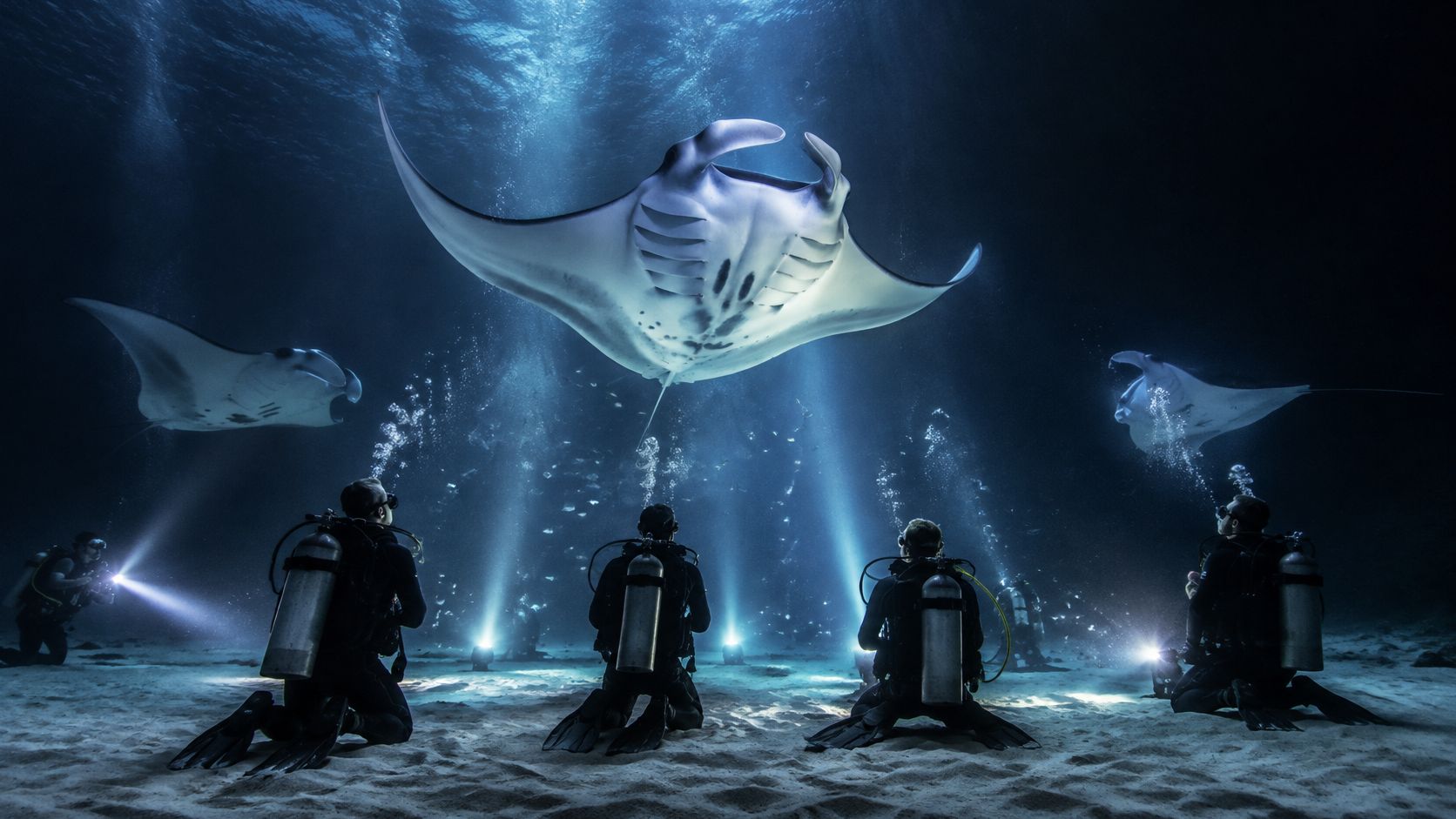 Scuba divers kneeling on the ocean floor observing majestic manta rays swimming in the deep blue sea.