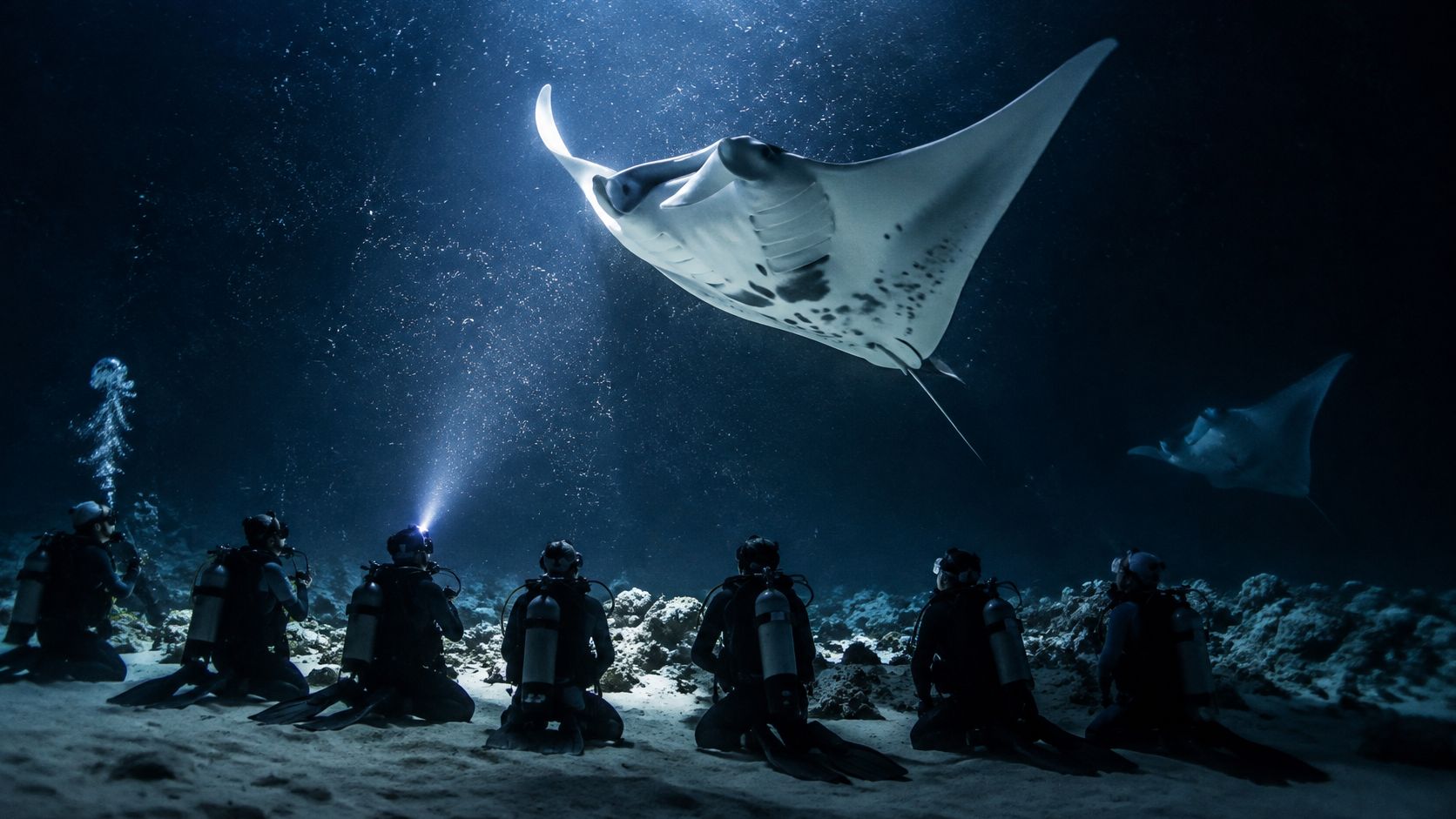 A group of scuba divers kneeling on the ocean floor watching two majestic manta rays swim overhead.