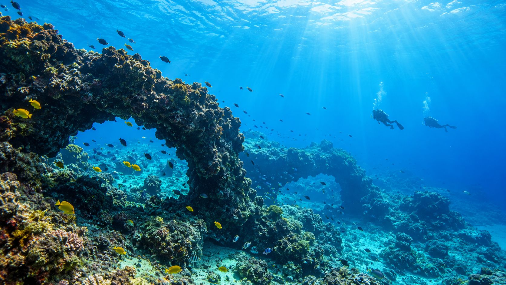 Two scuba divers swimming near a large natural underwater coral arch in the clear deep blue ocean.