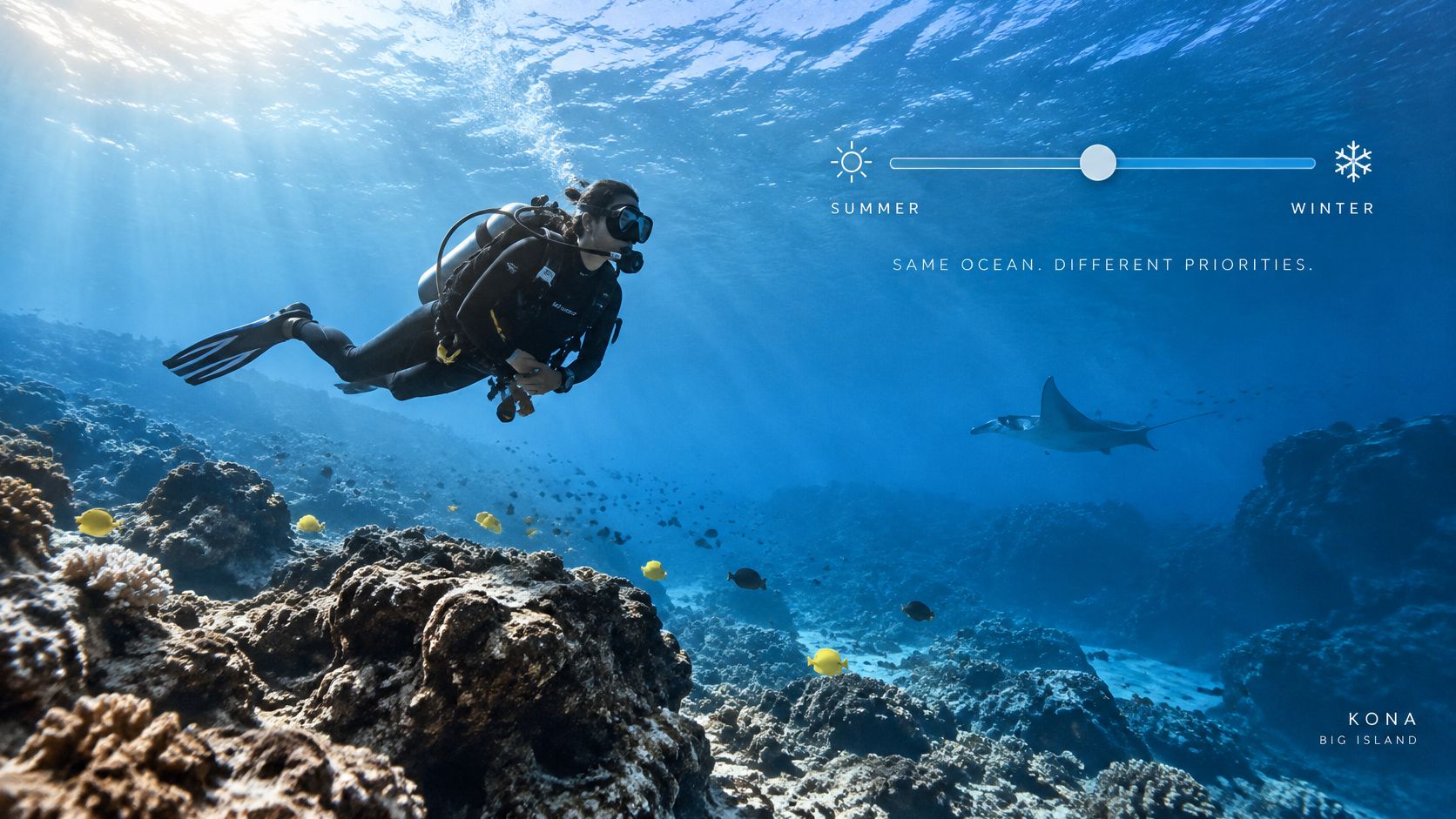 A scuba diver explores the underwater reef in Kona, Big Island, while a manta ray swims nearby.