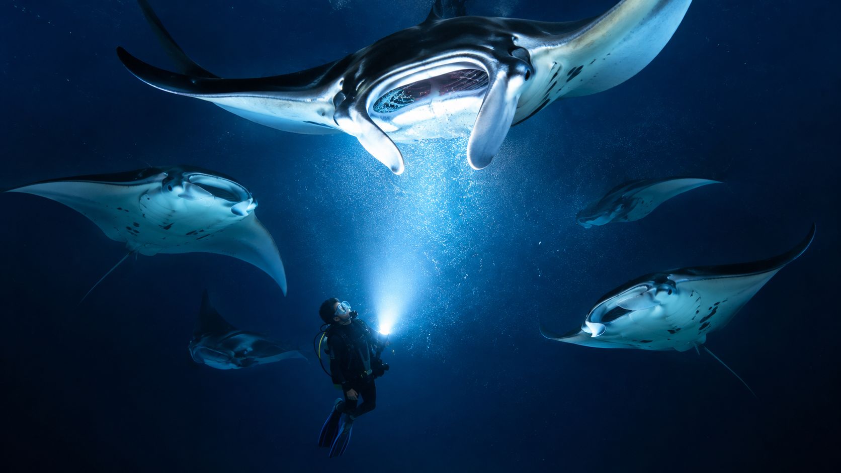 A scuba diver explores the deep ocean while surrounded by multiple majestic manta rays during a dive.