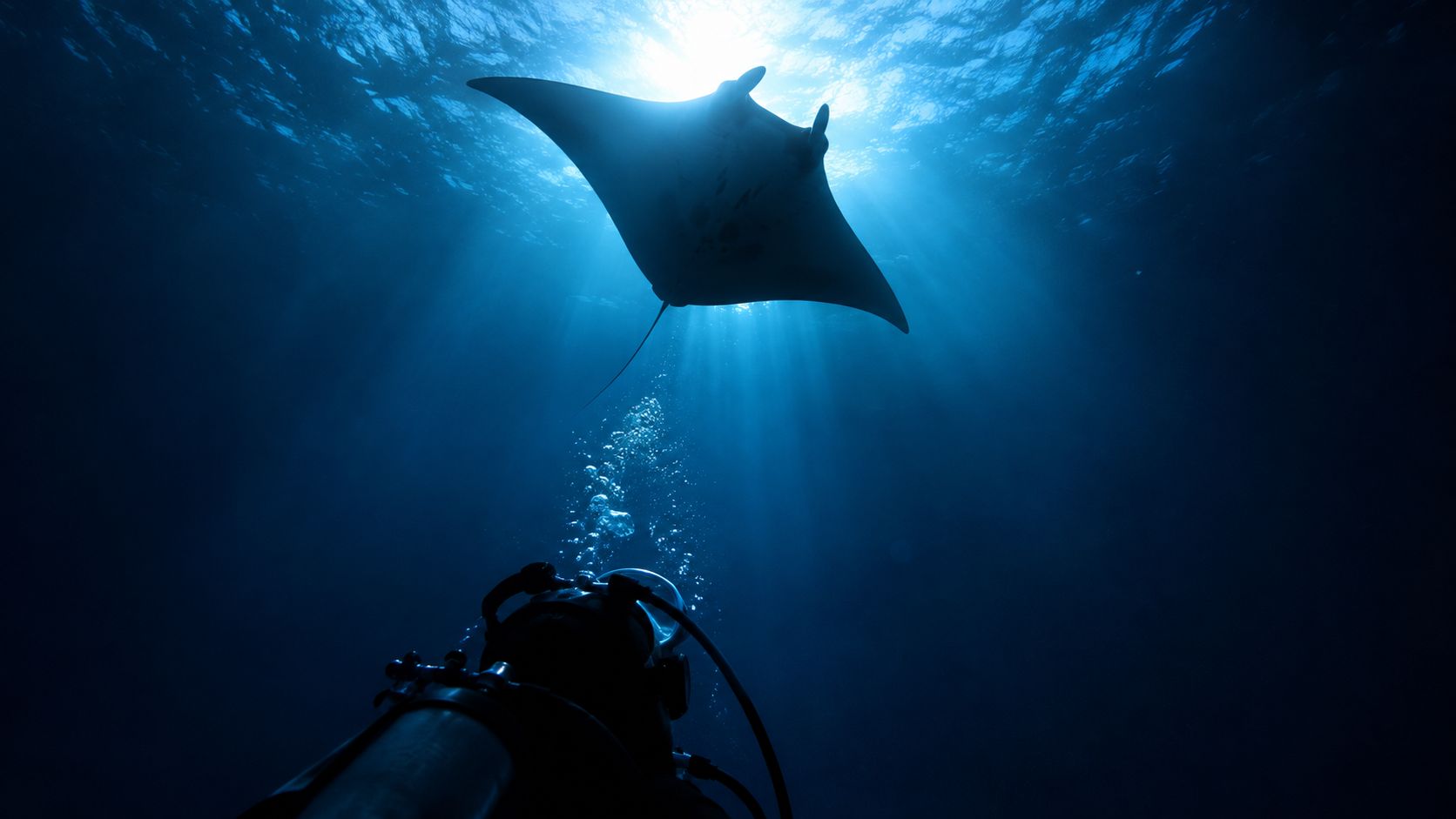 A scuba diver swims underwater while a large manta ray glides gracefully above in the deep ocean.