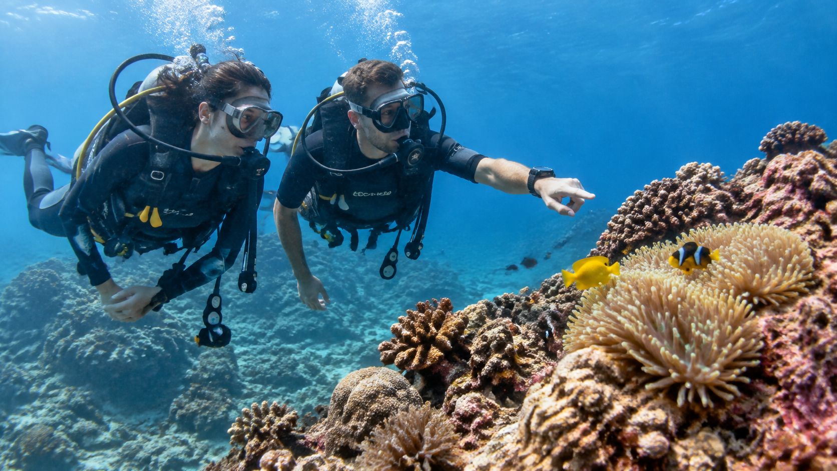 Scuba divers exploring a vibrant coral reef in Kona, Hawaii, pointing at a small clownfish in anemone.