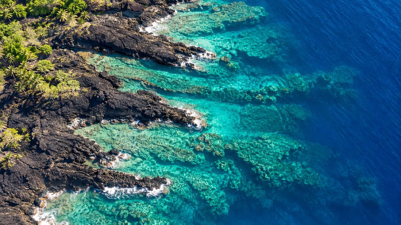 Aerial view of black volcanic rock coastline transitioning into crystal clear turquoise and deep blue ocean water