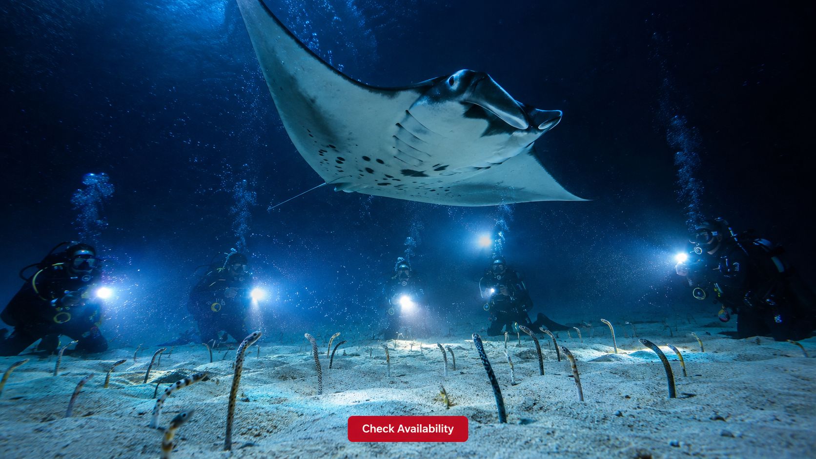 Scuba divers exploring the ocean floor at night while a graceful manta ray swims overhead.