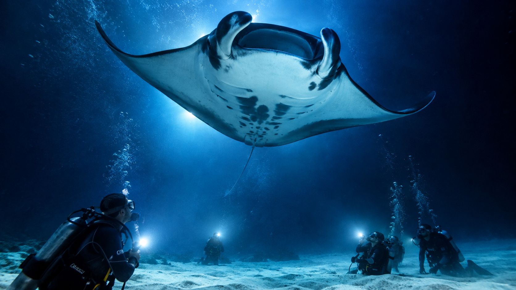 Scuba divers use underwater lights to observe a large manta ray swimming in deep ocean waters.