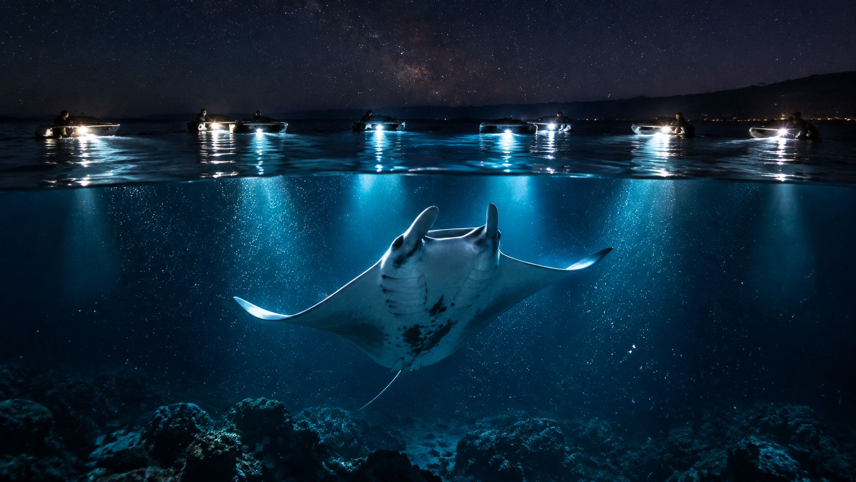 A manta ray swimming beneath illuminated kayaks at night under a clear starry sky in Hawaii.