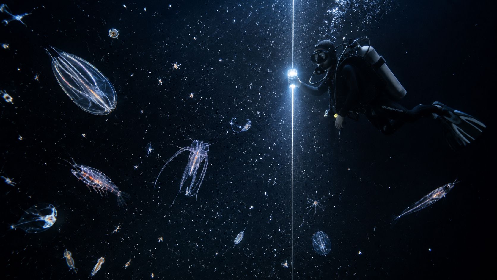 A scuba diver explores the dark ocean depths of Kona, surrounded by bioluminescent creatures and plankton.