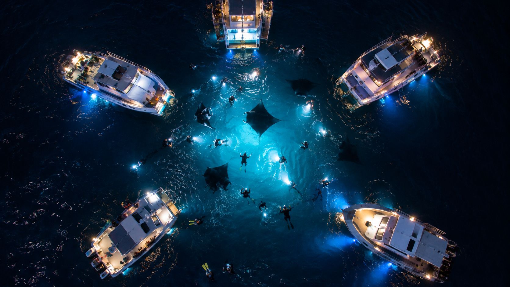 An aerial view of multiple boats at night, with people snorkeling and swimming with manta rays in Hawaii.