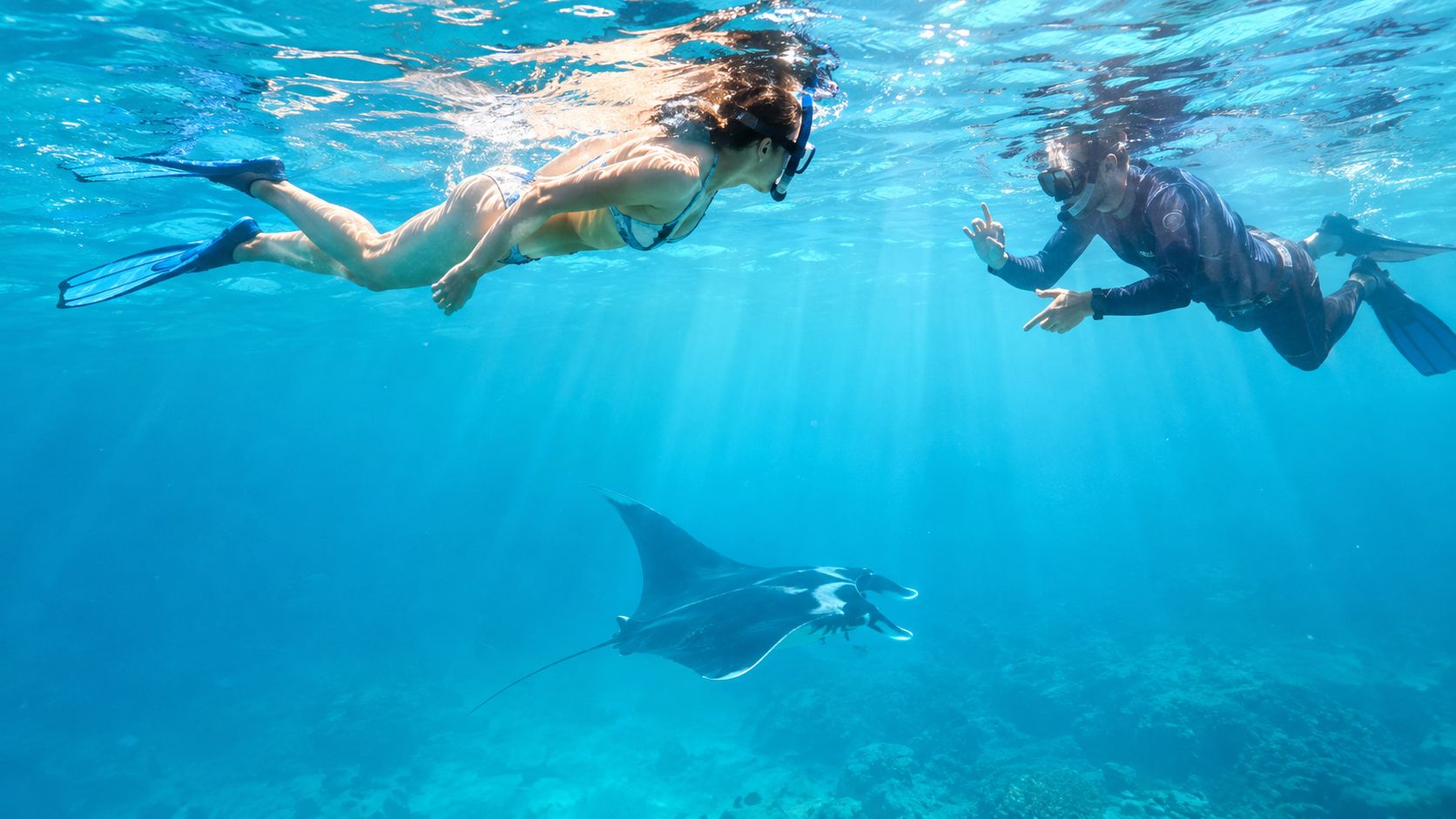 A woman and a man snorkeling in clear blue ocean water while observing a manta ray swimming.