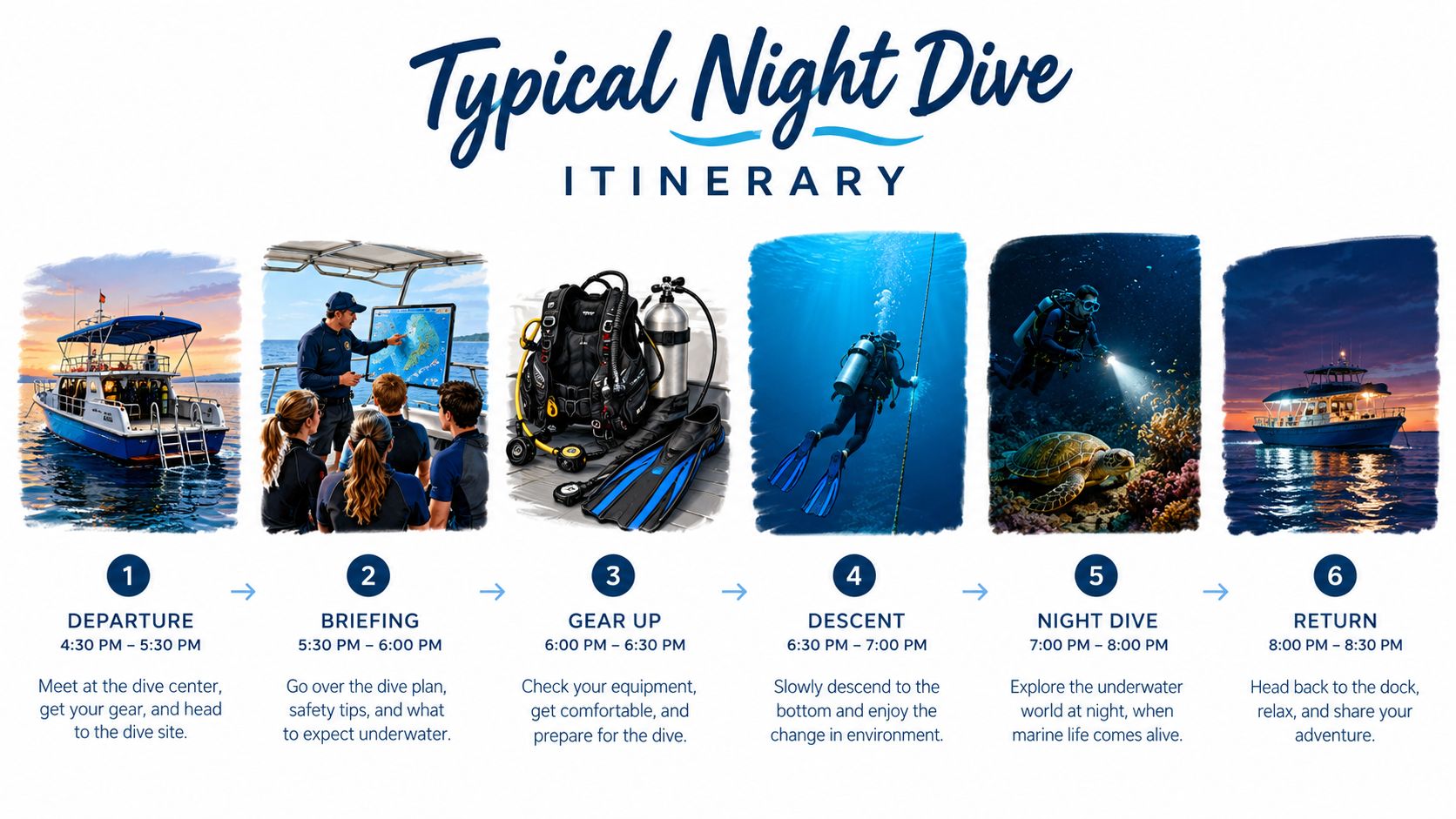 An infographic showing a six-step typical night dive itinerary for scuba divers from departure to return.