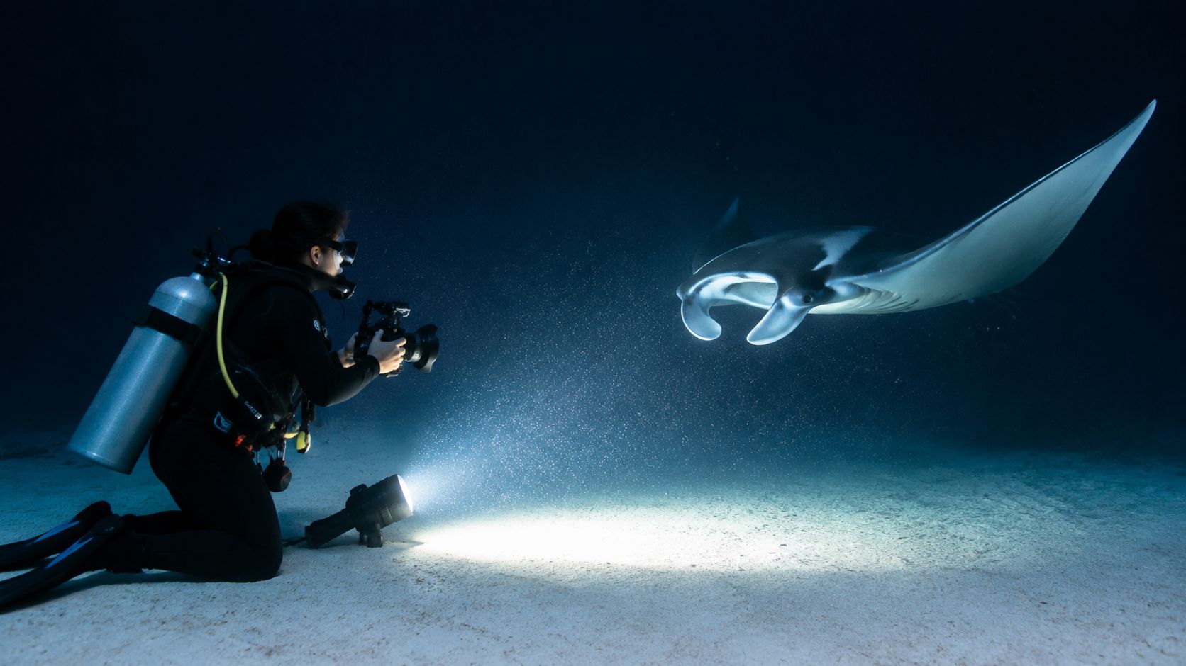 A scuba diver photographing a graceful manta ray in the deep blue ocean near the sea floor.