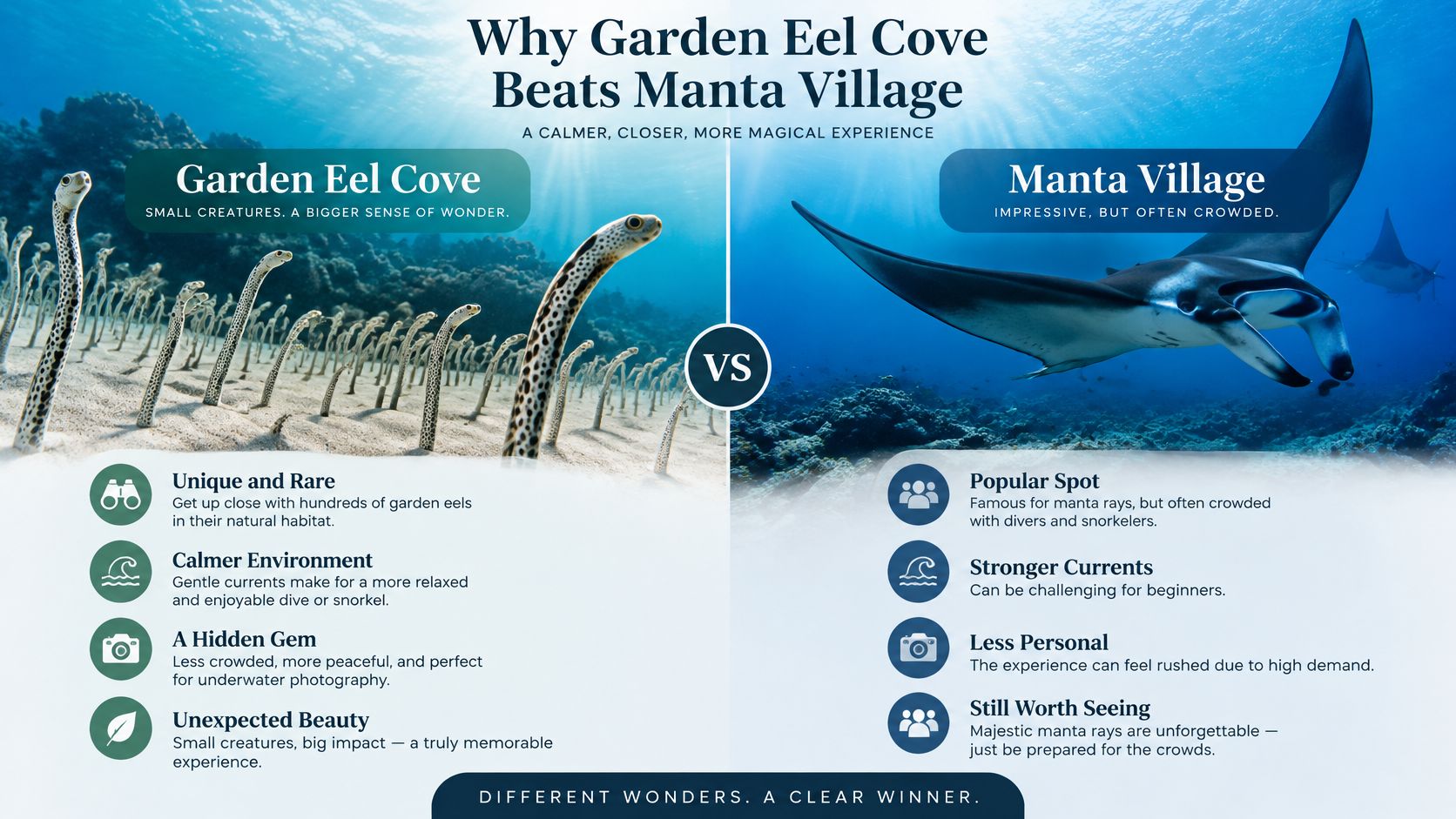 A comparison infographic between Garden Eel Cove and Manta Village highlighting dive experience differences in Hawaii.