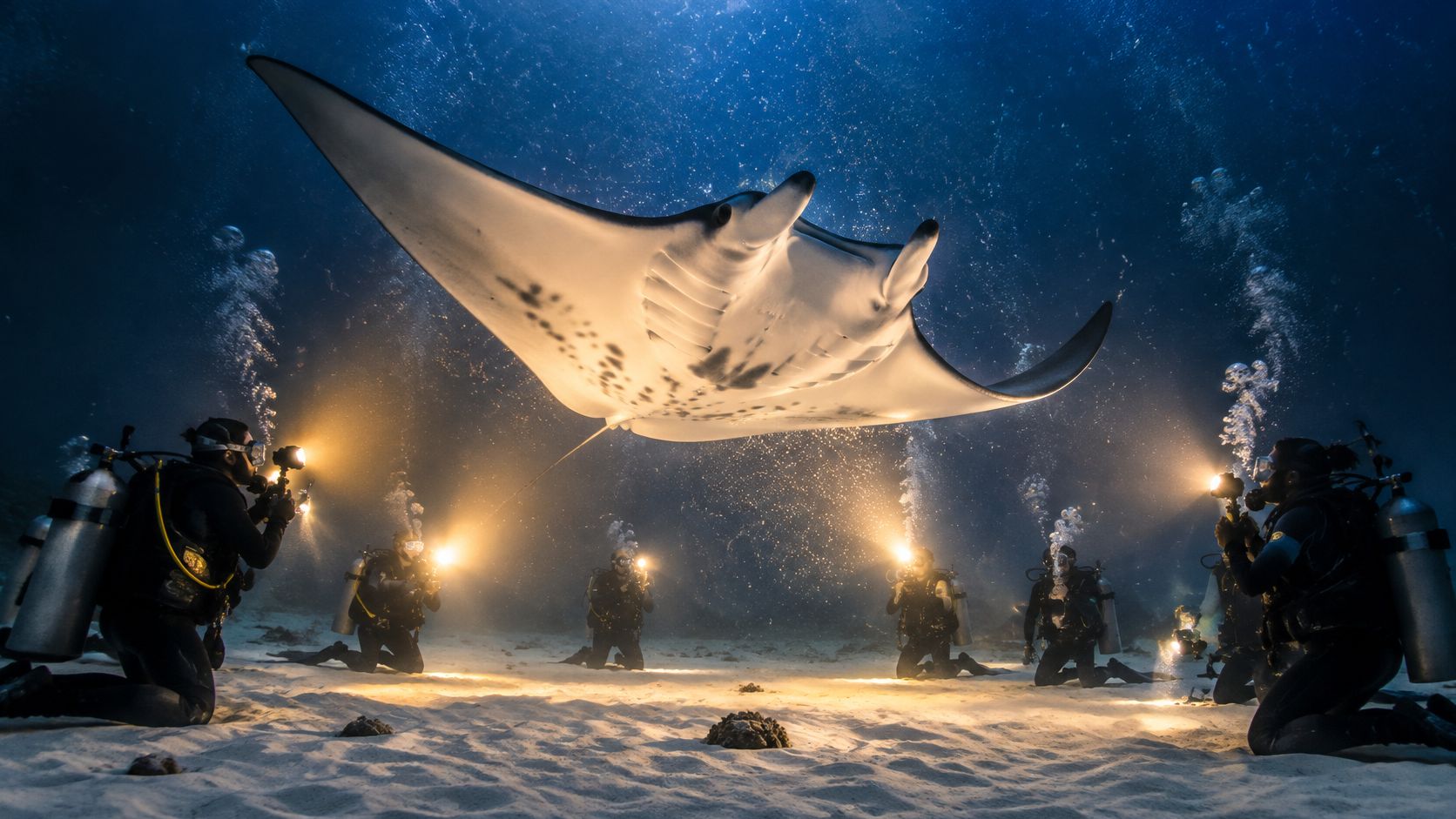 Scuba divers with bright underwater flashlights observe a large manta ray gliding through the deep ocean.
