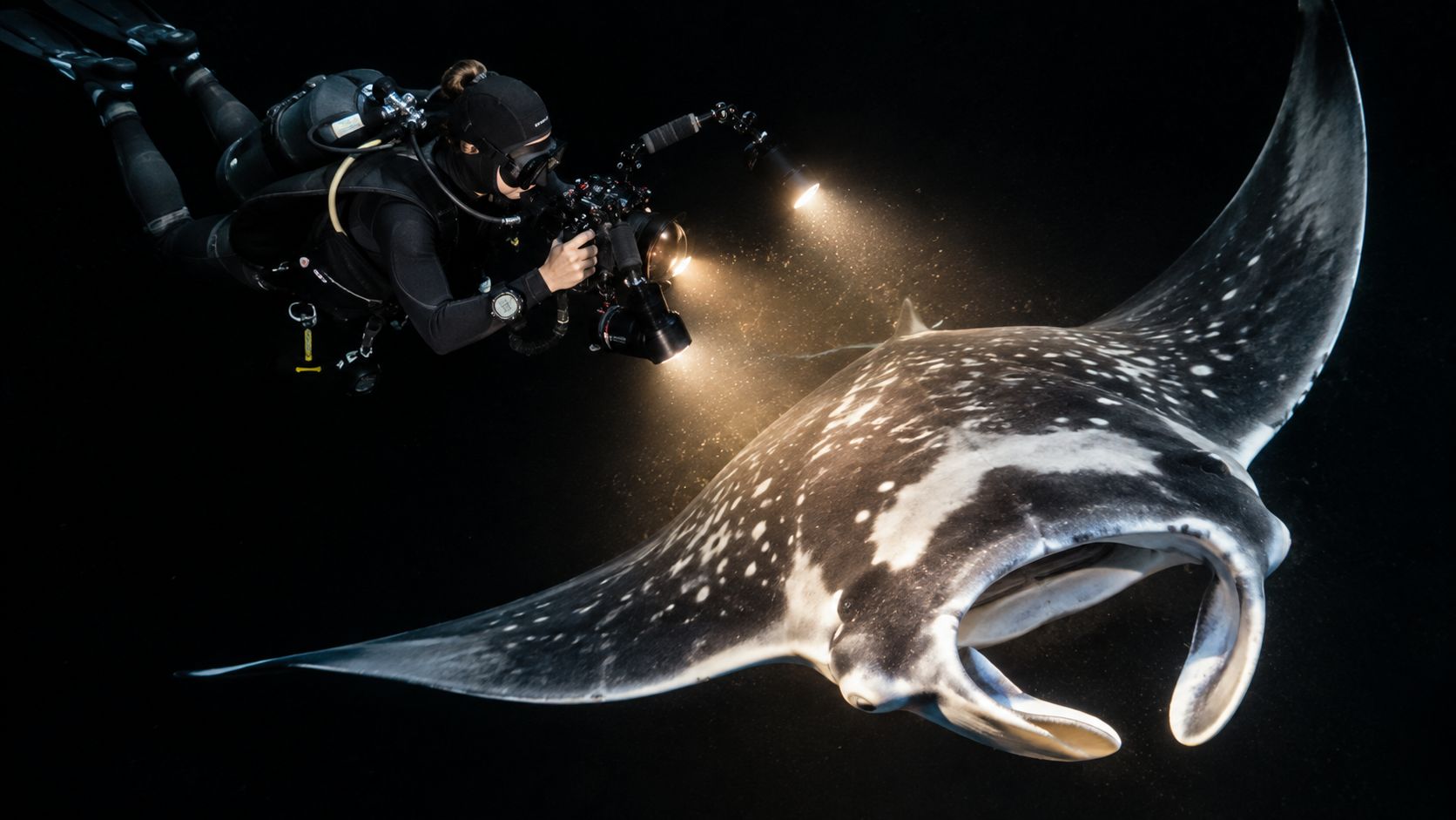A scuba diver photographing a majestic manta ray with powerful underwater lights in the dark ocean.