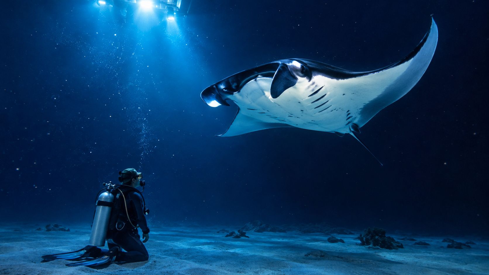 A scuba diver kneeling on the ocean floor observing a large manta ray illuminated by underwater lights.