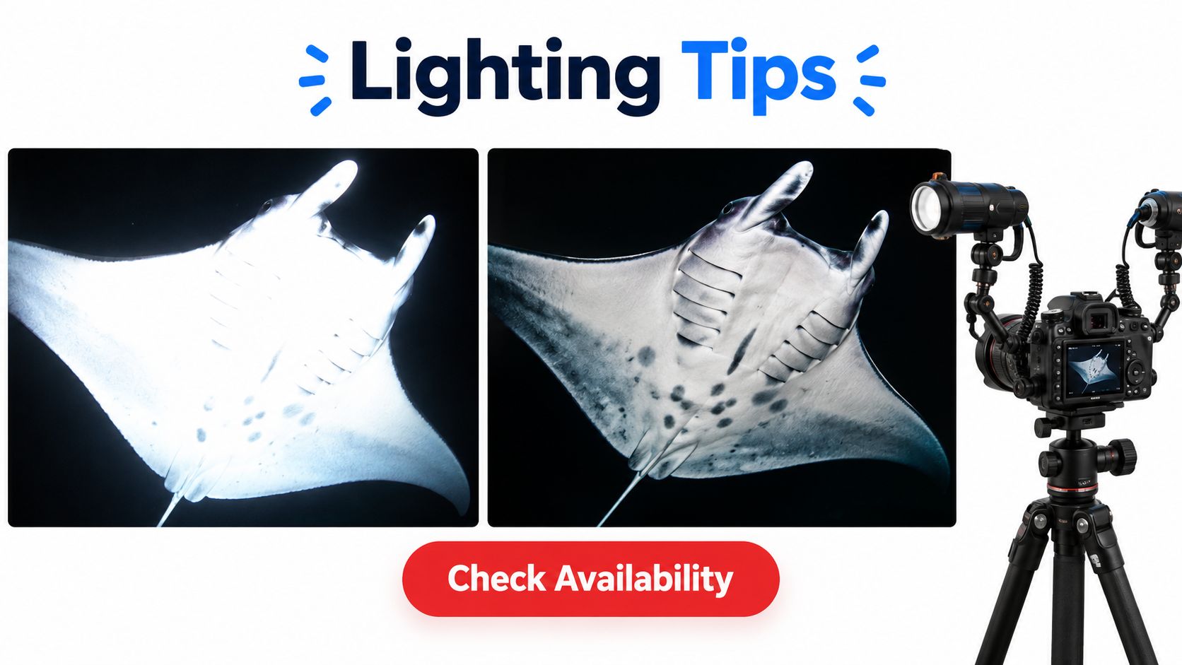 A comparison showing overexposed versus correctly lit underwater photography of a manta ray with camera equipment.