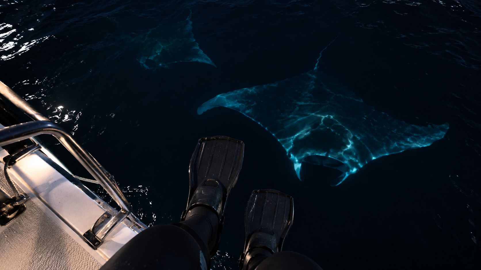 A diver sitting on a boat ladder looks down at two manta rays swimming in dark water.