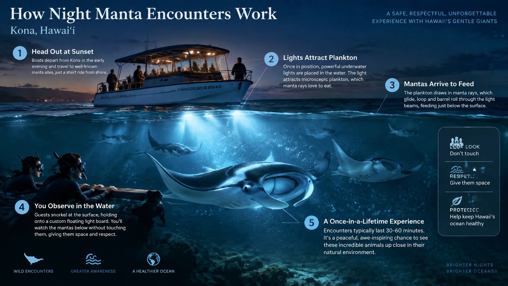A visual guide illustrating the process of night manta ray encounters near a boat in Kona, Hawaii.