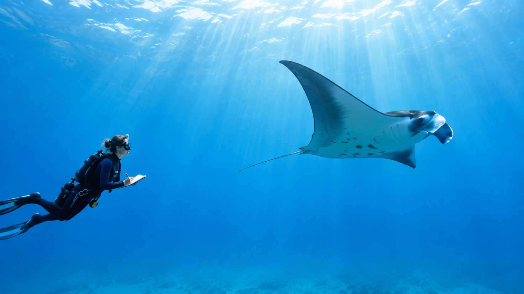 A scuba diver writing on a slate while observing a manta ray swimming in deep blue water.