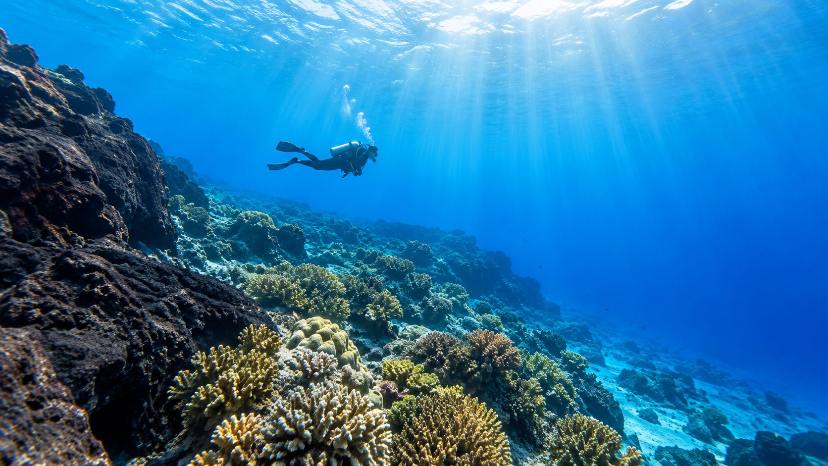 A scuba diver swimming gracefully over a vibrant coral reef in clear blue tropical ocean waters.
