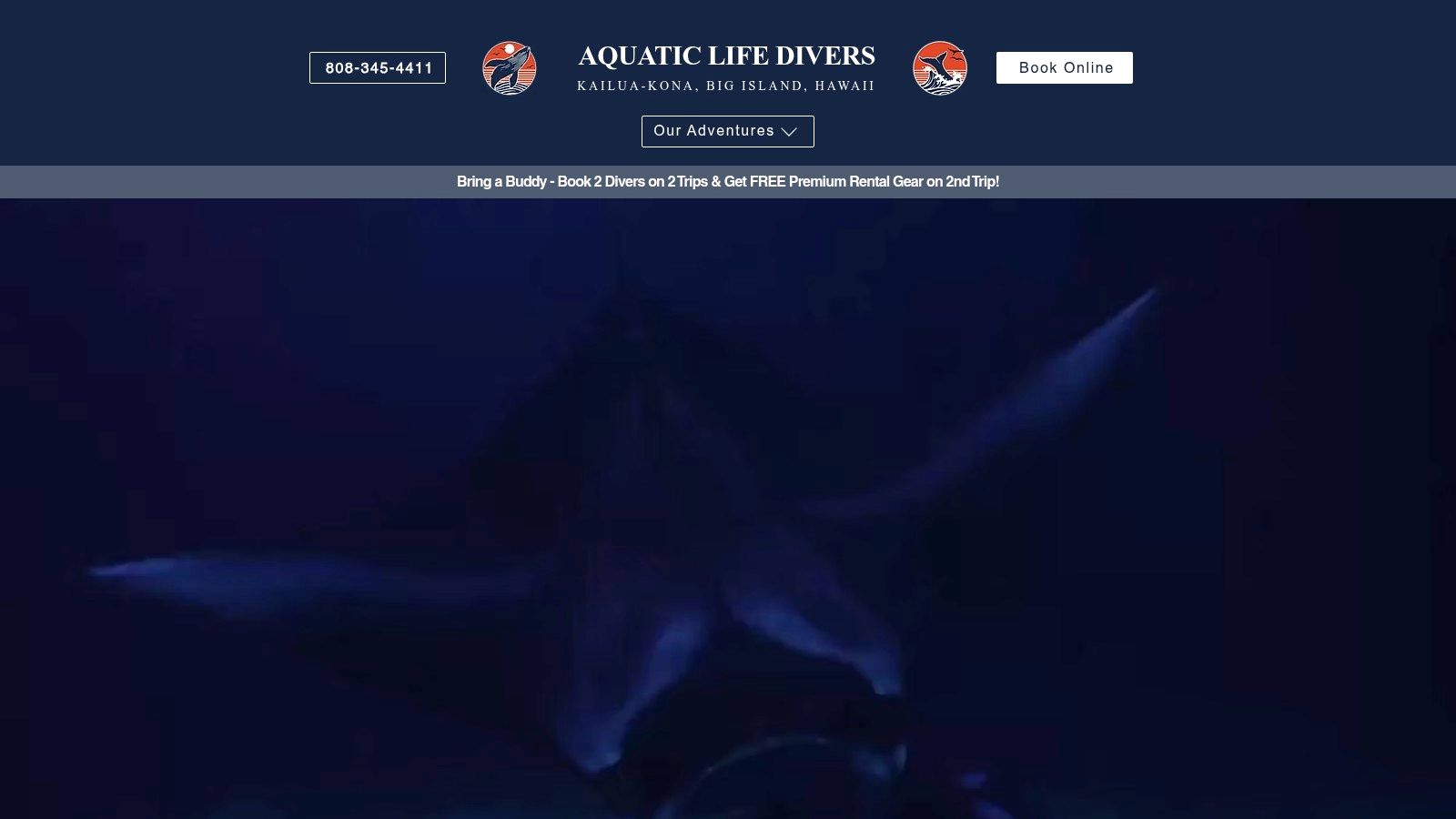 Aquatic Life Divers