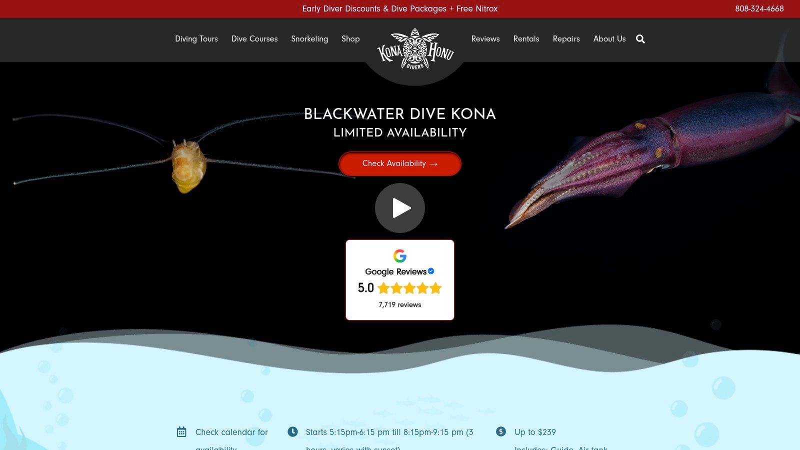 Screenshot from https://konahonudivers.com/diving-tours/black-water-night-dive/?ref=blog