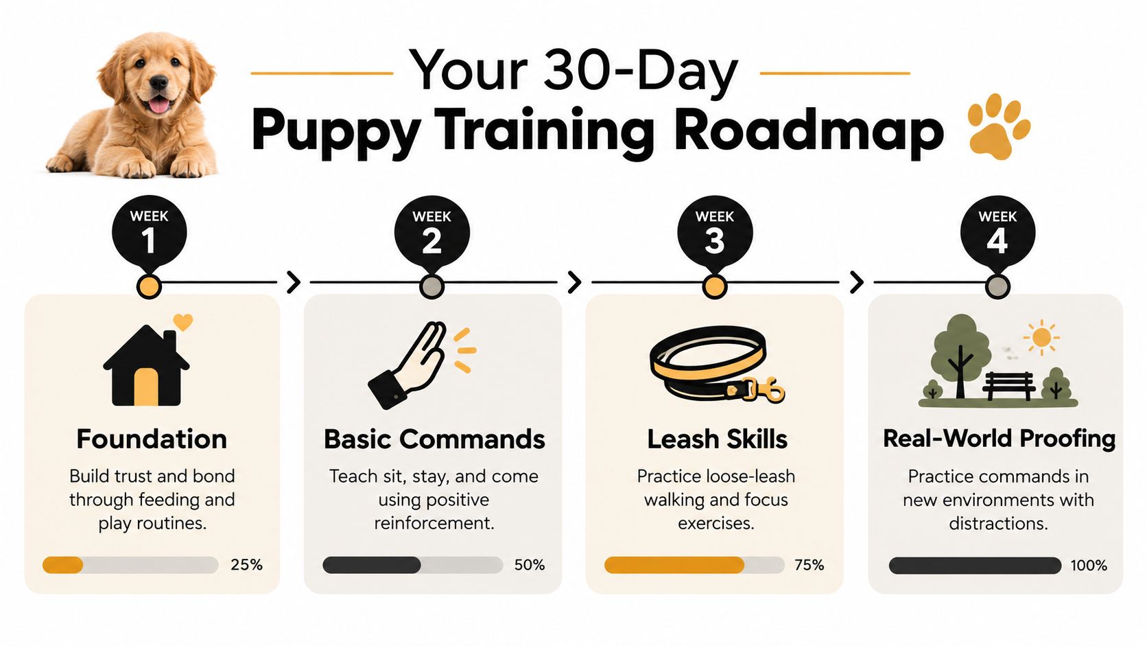 A 30-day puppy training roadmap infographic showing four weekly stages: foundation, basic commands, leash skills, and real-world proofing.