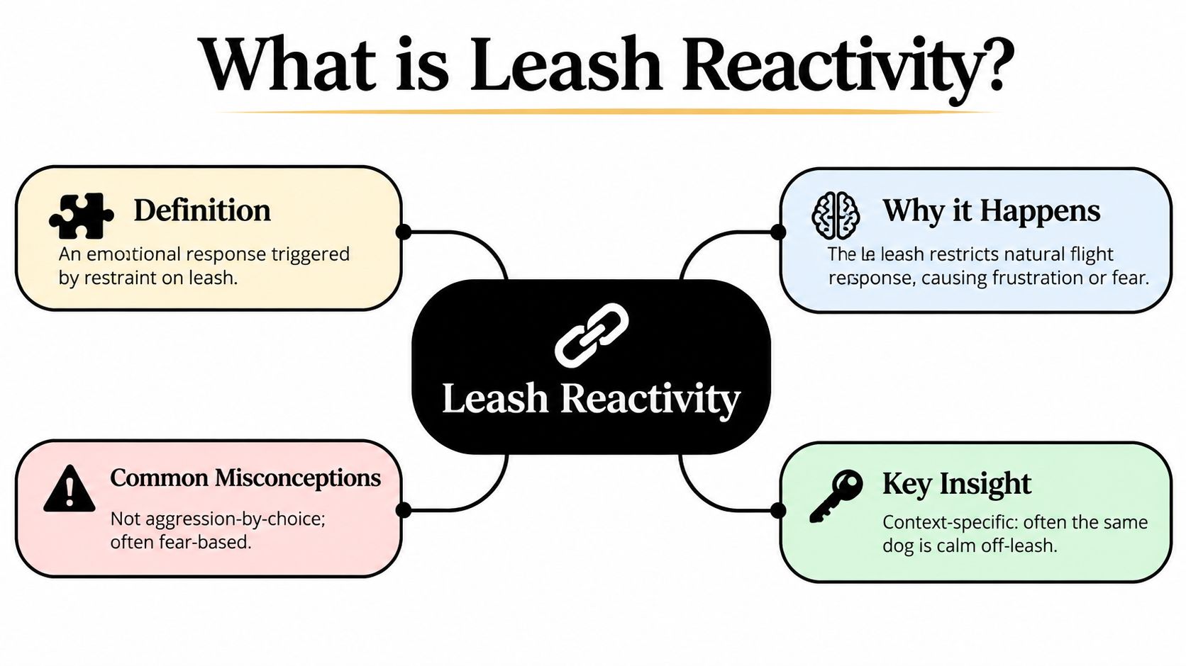 A mind map infographic explaining the definition, causes, misconceptions, and key insights regarding leash reactivity in dogs.