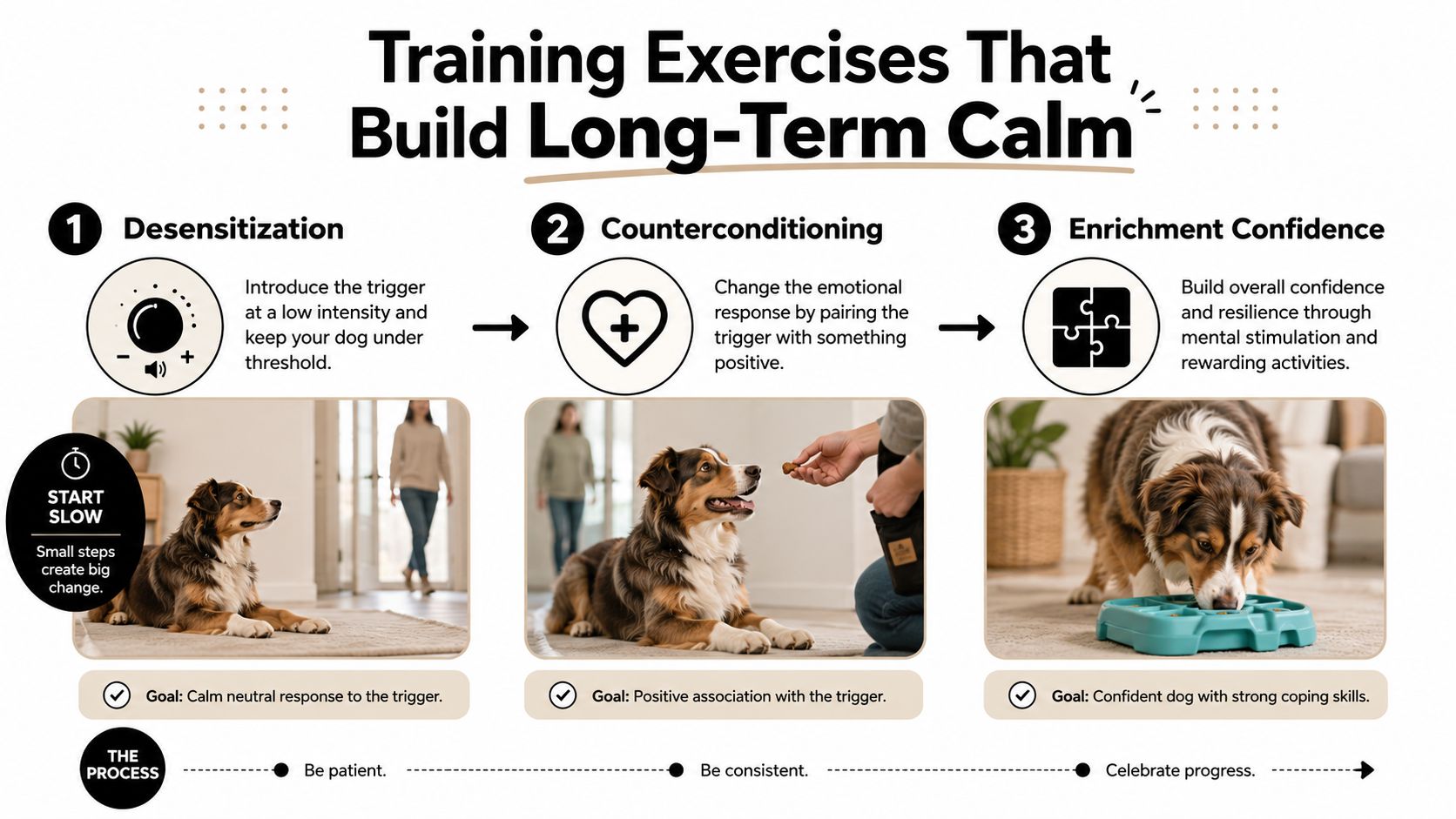 A diagram outlining three training exercises to help build long-term calm in anxious dogs with illustrated examples.